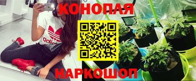 тгк Будённовск
